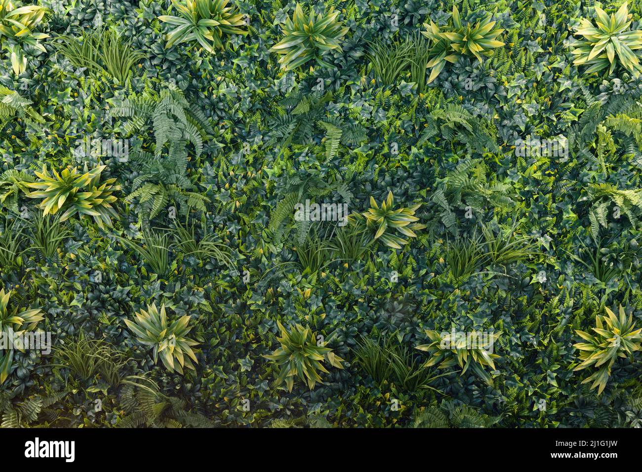 green wall with grasa and leaf, abstract background texture Stock Photo