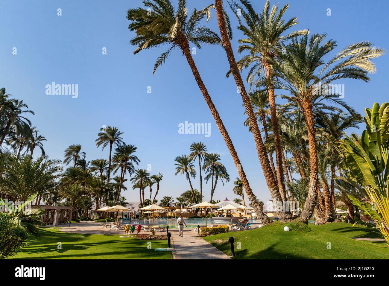 Pool area, Hotel Mercure, Luxor Stock Photo