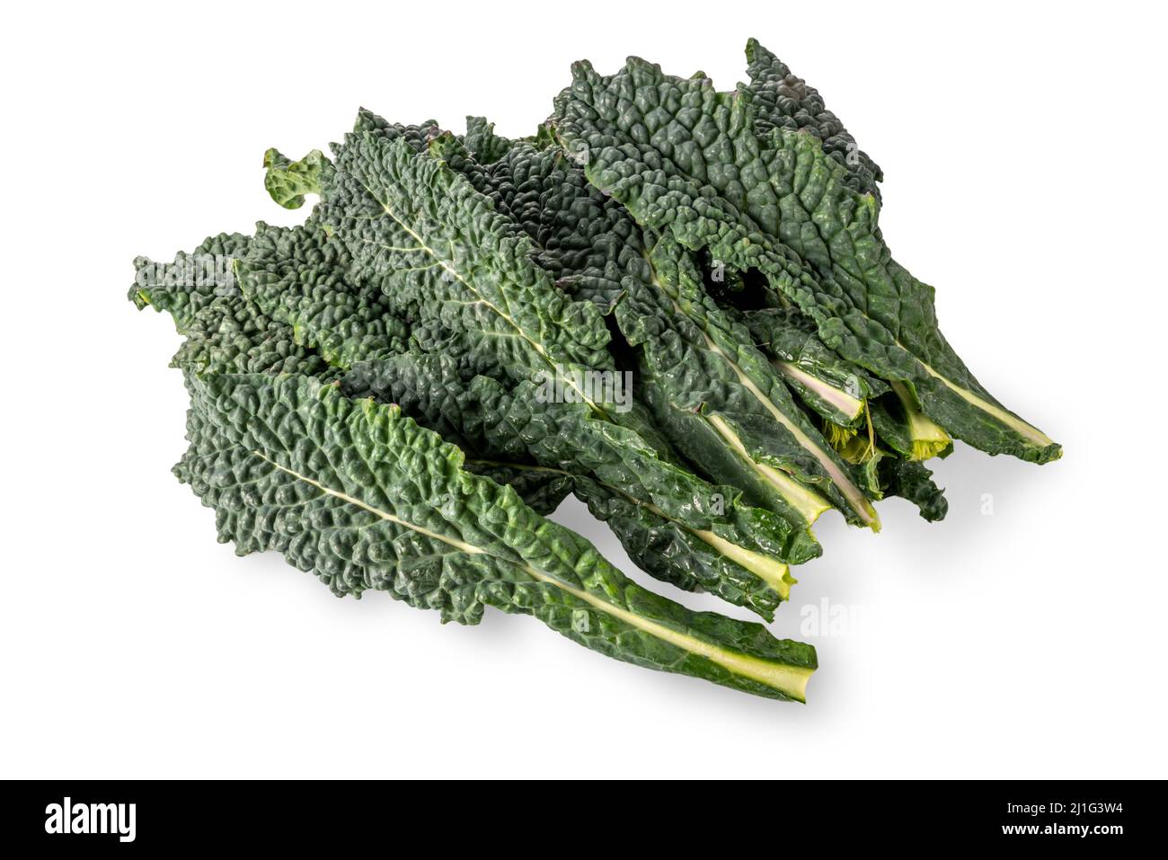 Leaves of Italian black kale or Tuscan kale or lacinato or dinosaur kale isolated on white; clipping path Stock Photo