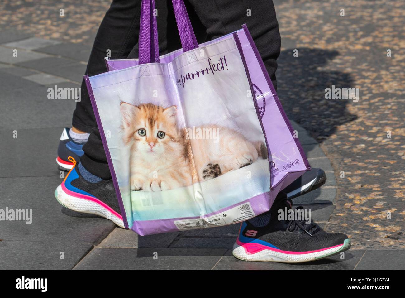 Pep & Co in Poundland I'm perfect cat illustration reusable bag 100% PEP&CO, Poundland, Women's Clothing, PEP & CO Home, PEP&CO stores Bag for Life. recycled plastic reusable Shopping Bags for Life, Preston, Lancashire, UK Stock Photo