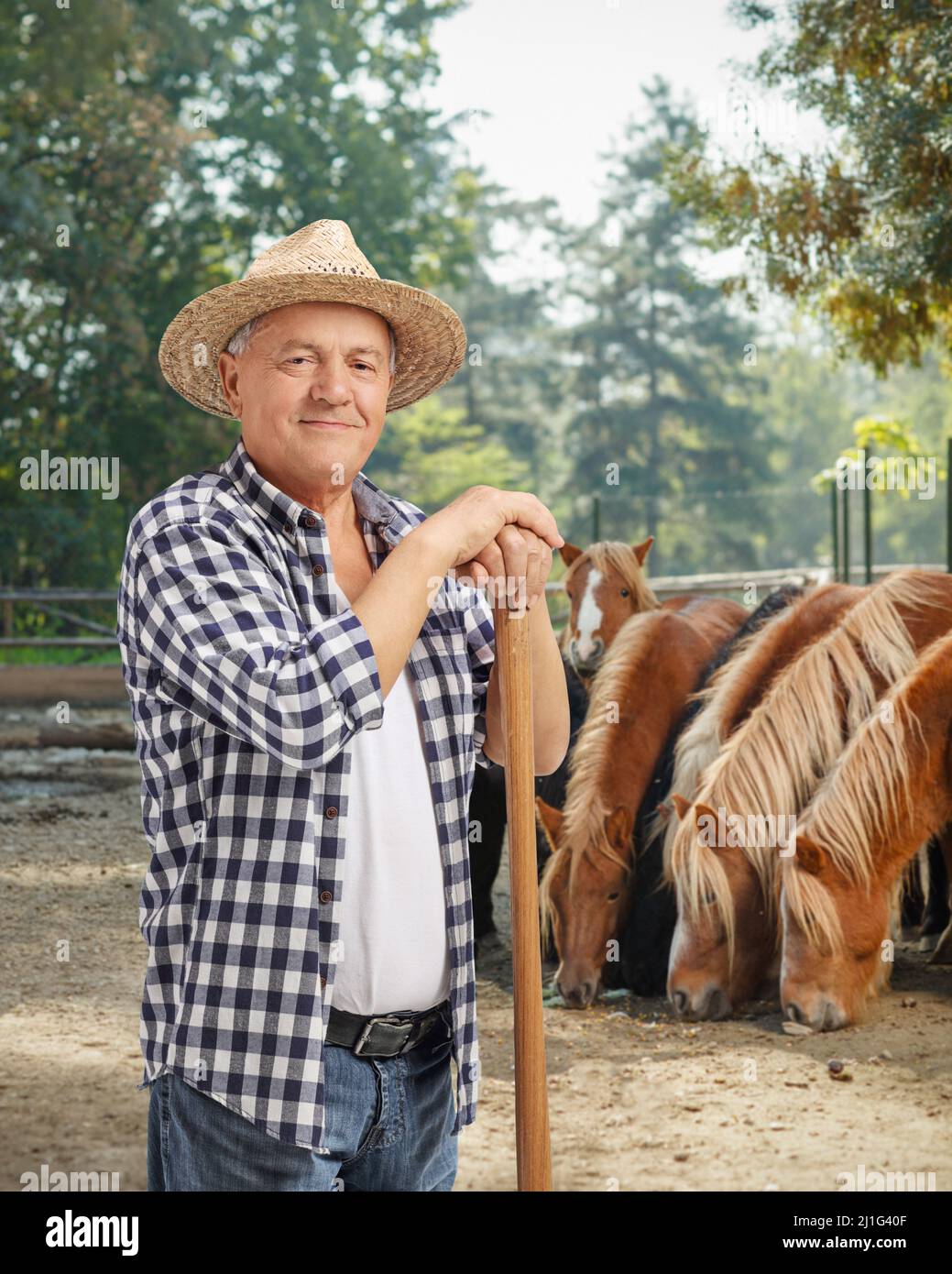 Mature farmer with a shovel posing with horses in the back Stock Photo