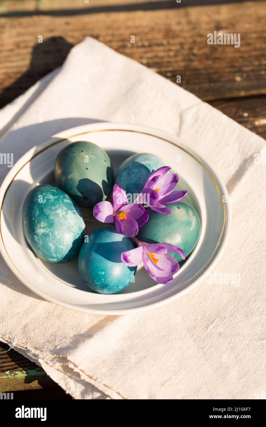 Blue Easter eggs with purple crocuses. Easter concept Stock Photo - Alamy