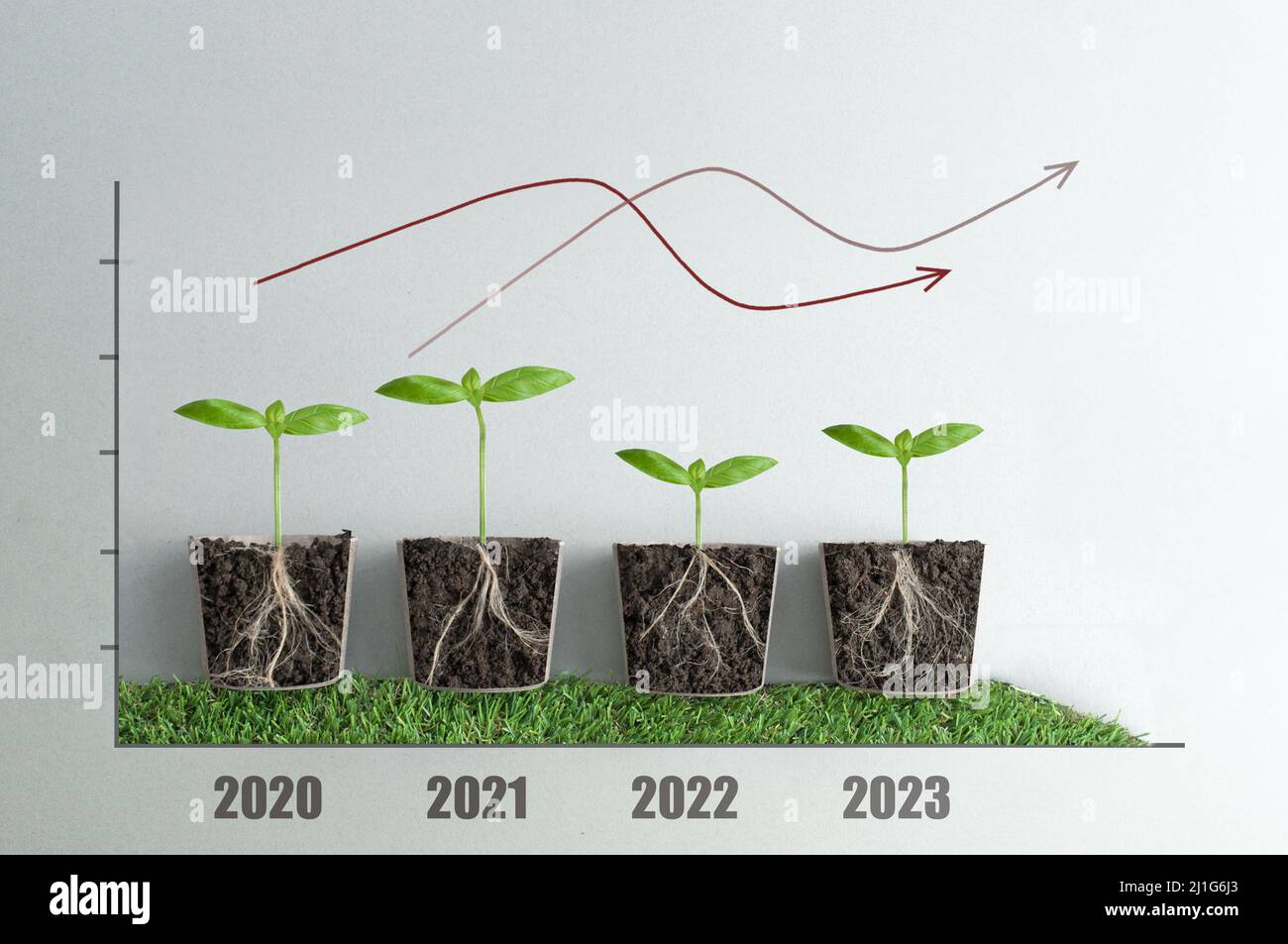 Business recovery stages line graph, with seedlings and roots exposed from 2020 to 2023 Stock Photo