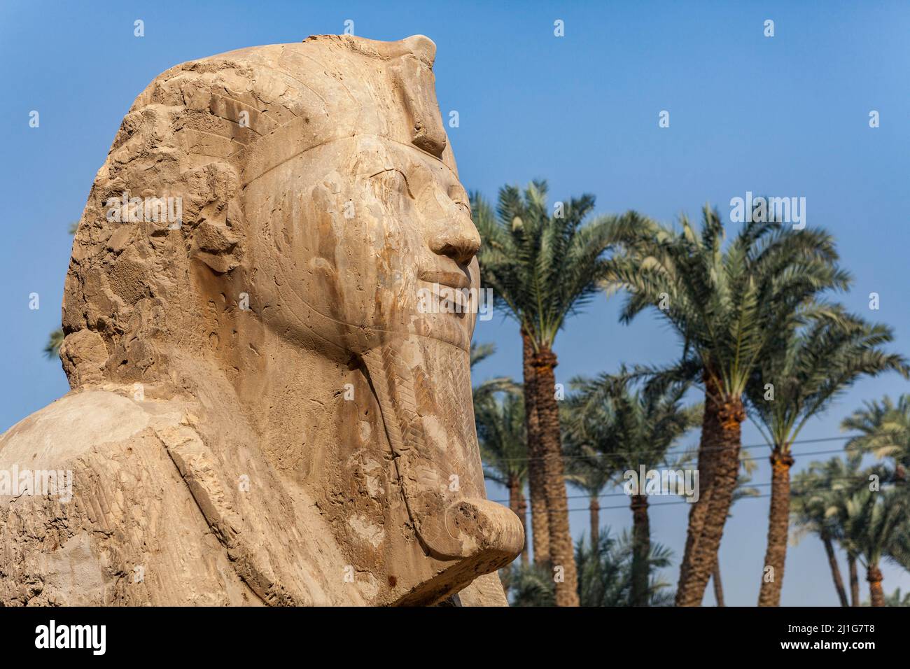 Alabaster sphinx of Memphis, Egypt Stock Photo Alamy