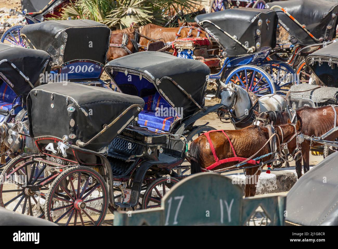 The Benz Motorwagen: See How It Outperformed Horse Drawn Carriages! - 19da0gs