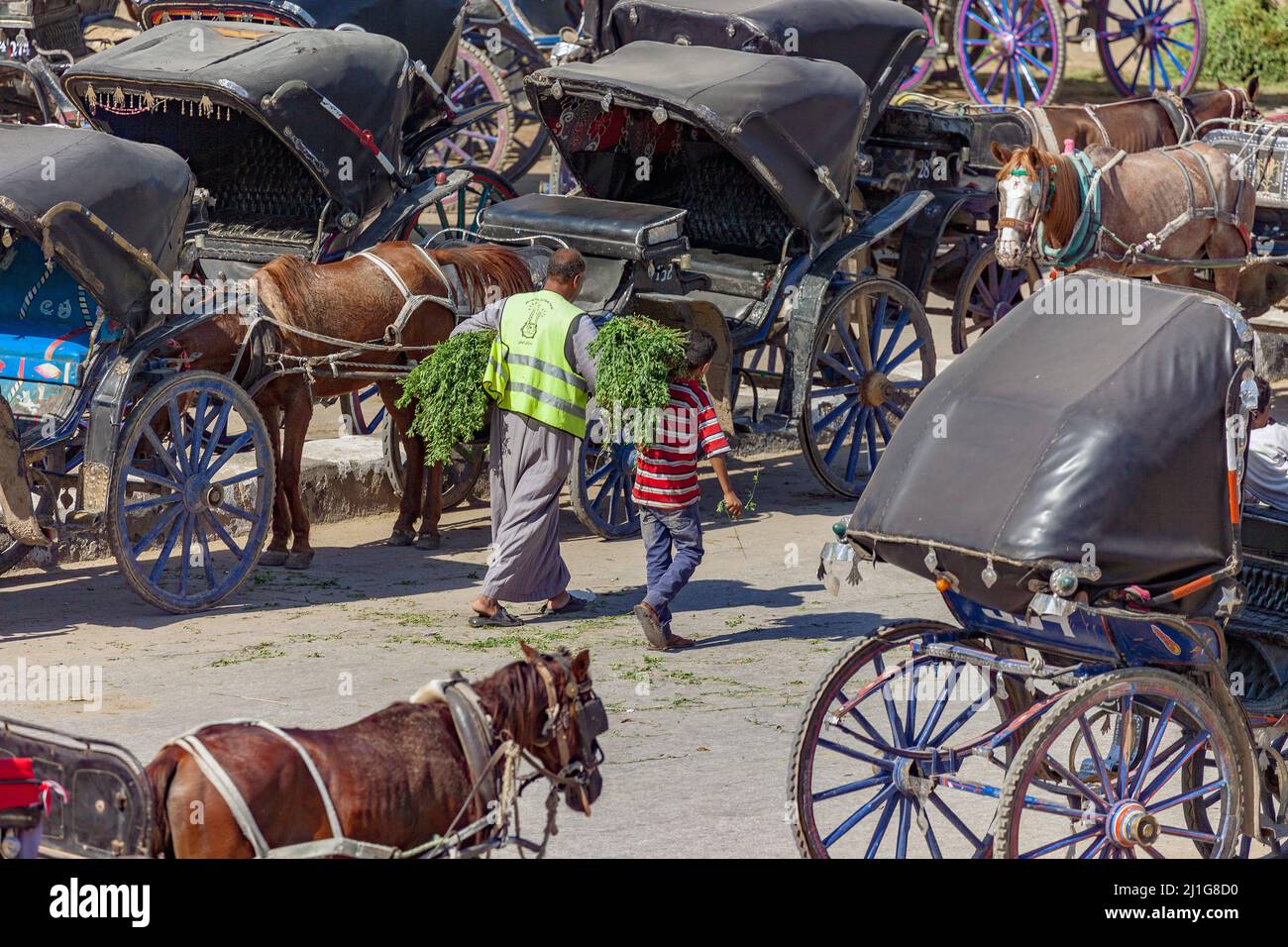 The Benz Motorwagen: See How It Outperformed Horse Drawn Carriages! - 220vsy7