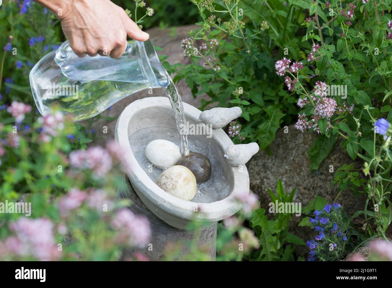 Vogeltränke, Tränke, Trinken, Wasser, Wasserschale, Trinknapf, Wasser