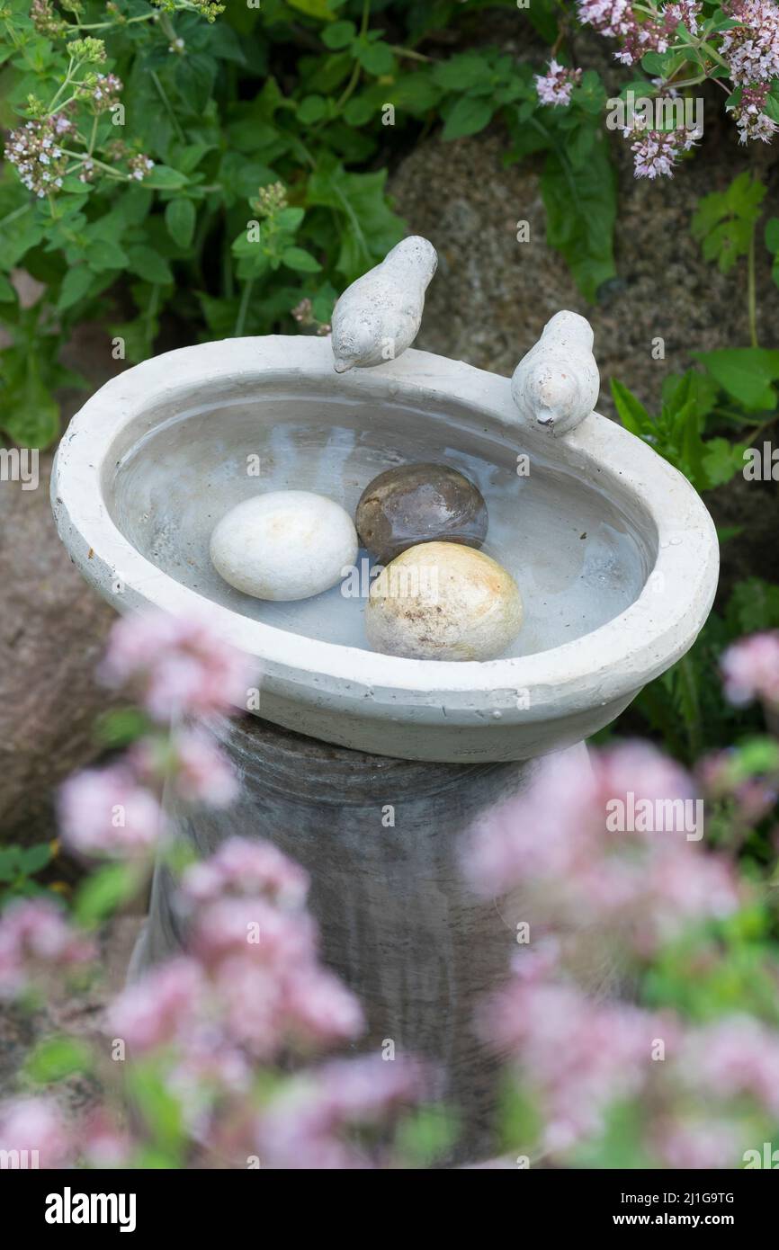 Vogeltränke, Tränke, Trinken, Wasser, Wasserschale, Trinknapf, Wasser