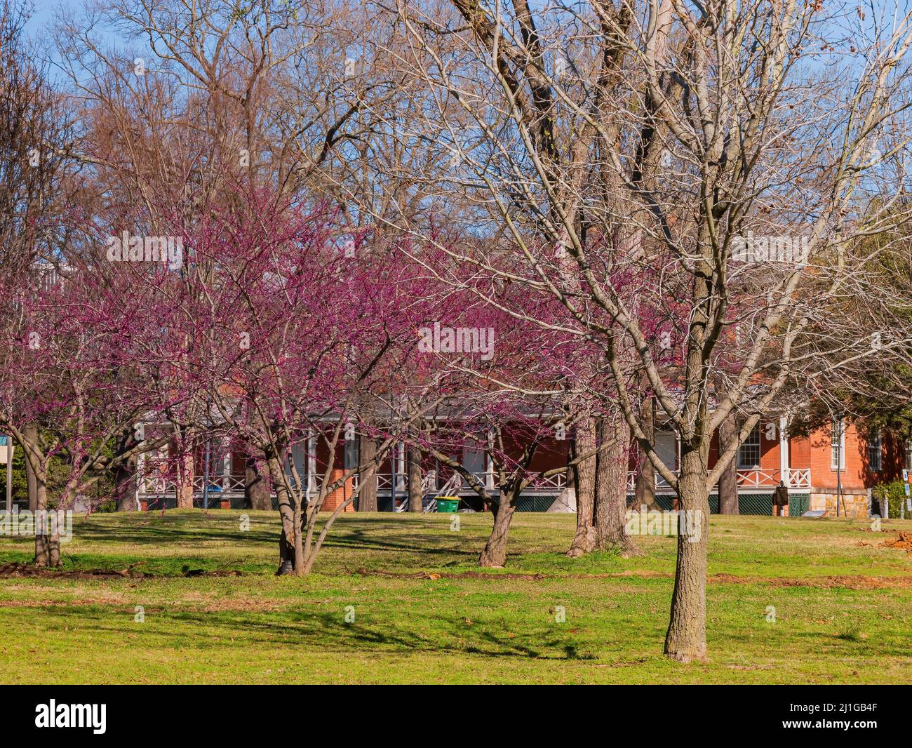 Macarthur park arkansas hires stock photography and images Alamy