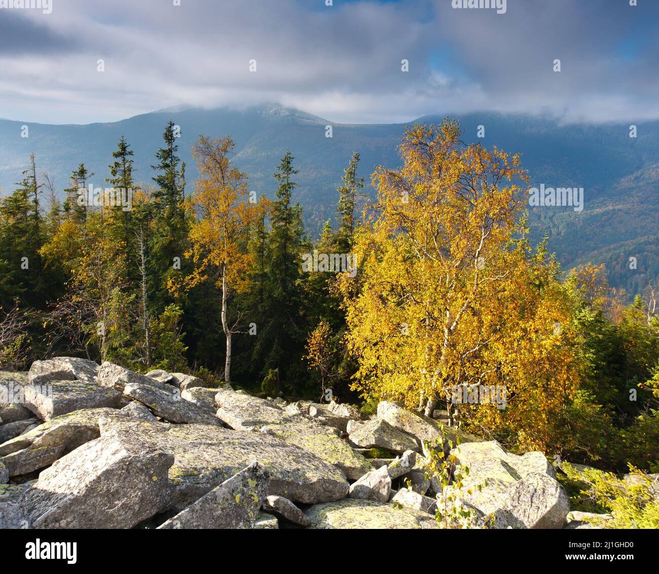 the mountain autumn landscape with colorful forest Stock Photo - Alamy