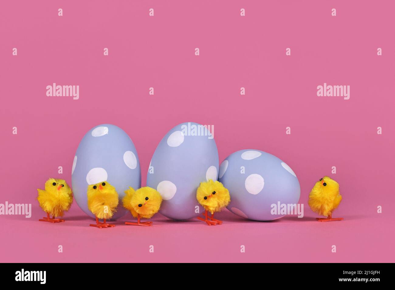 Decorative small easter chickens and eggs on pink background Stock Photo