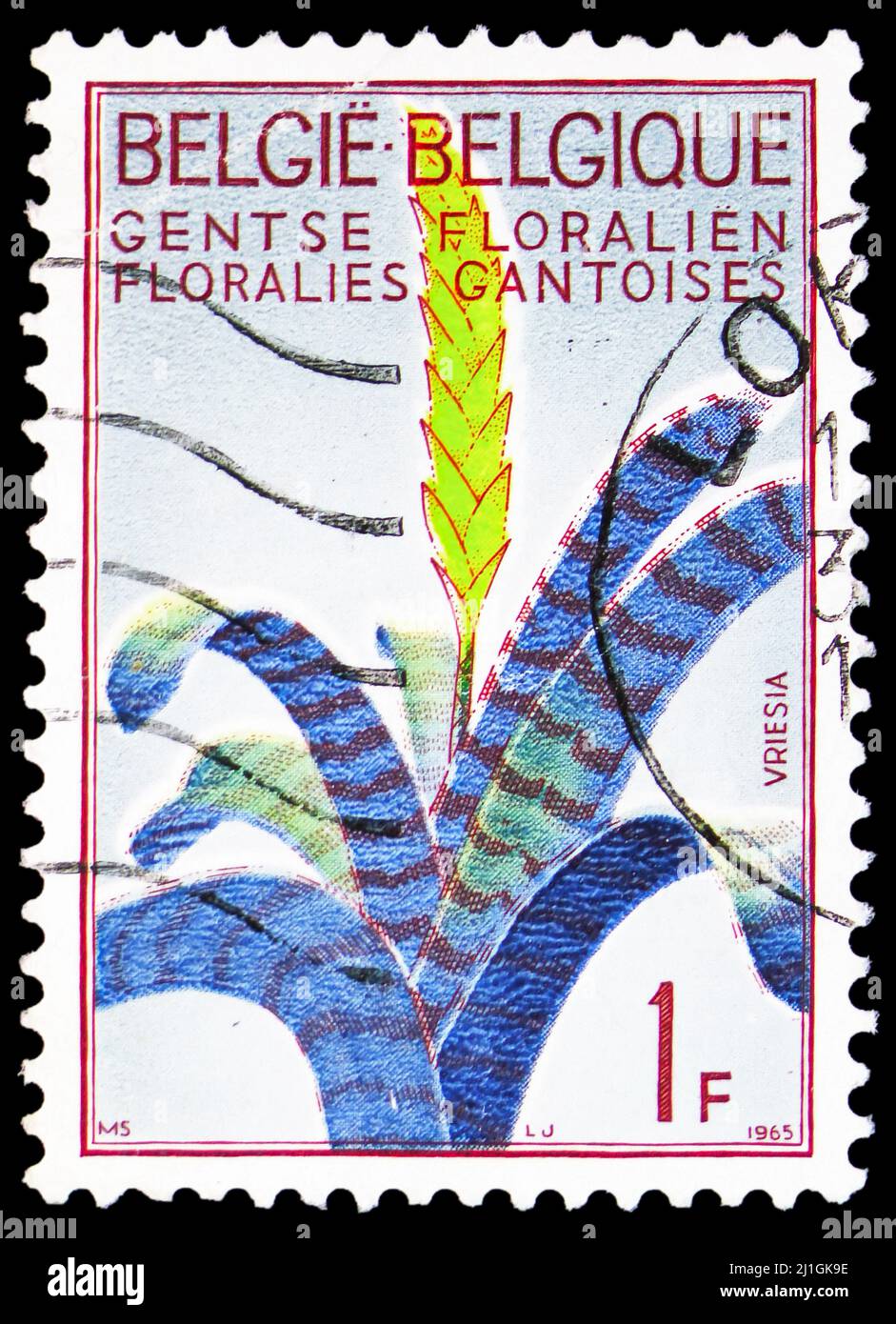 MOSCOW, RUSSIA - MARCH 10, 2022: Postage stamp printed in Belgium shows Flaming Sword (Vriesea splendens), Ghent Flower Show 1965 serie, circa Stock Photo
