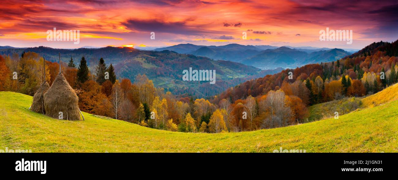 the mountain autumn landscape with colorful forest Stock Photo - Alamy