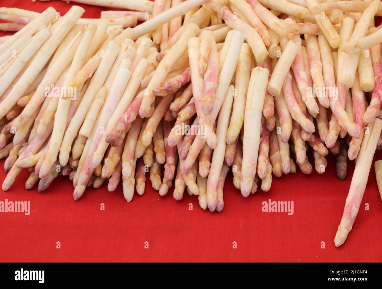 white asparagus for sale in the greengrocer s stall at the fruit and