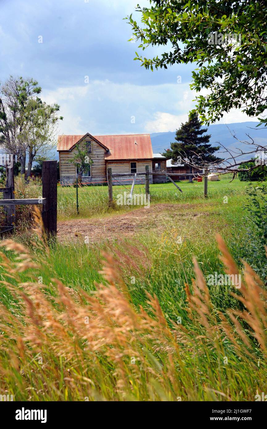Wood frame homestead is tin roofed, and peeling paint.  Fence fronts home and tall grass blows in the wind. Stock Photo
