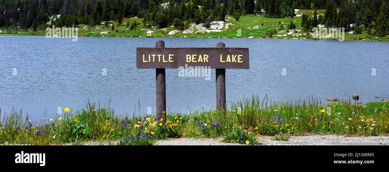 Brown, wooden sign, labeling Little Bear Lake, stands in front of lake on the Beartooth Pass Scenic Byway in Wyoming.  Wildlfowers blooom on shore of Stock Photo
