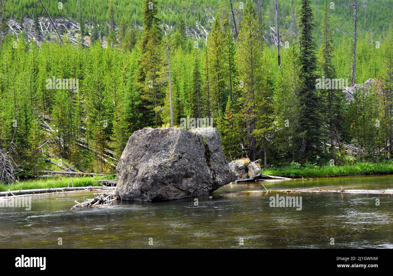 A single huge boulder sits in the middle of Firehole River in Yellowstone National Park.  Trees and wilderness line shoreline. Stock Photo