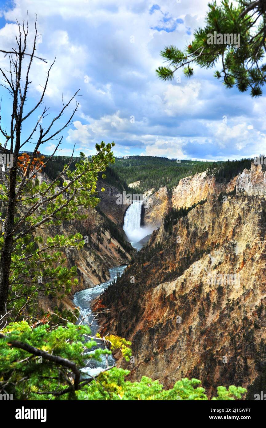 Landscape image of Lower Falls in Yellowstone National Park.  River snakes around canyon walls and clouds hang low over canyon walls. Stock Photo