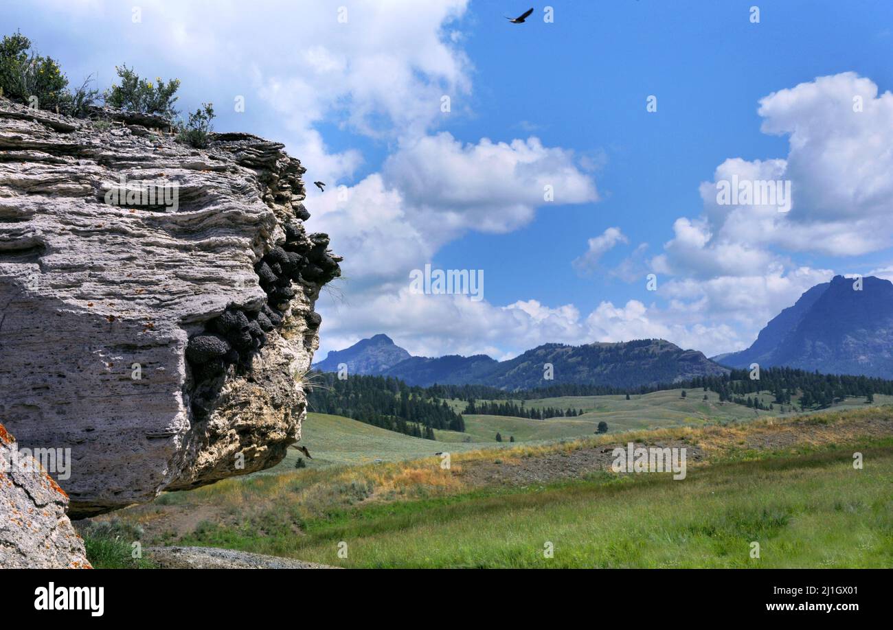 American Cliff Swallows nest on Soda Butte, a dormant hot springs, in Yellowstone National Park.  Beyond is a vista of Lamar Valley and Yellowstone mo Stock Photo