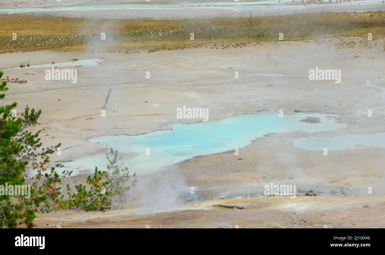 Geothermal steam escapes from Palette Springs in Geyser Basin.  Basin is in Yellowstone National Park. Stock Photo