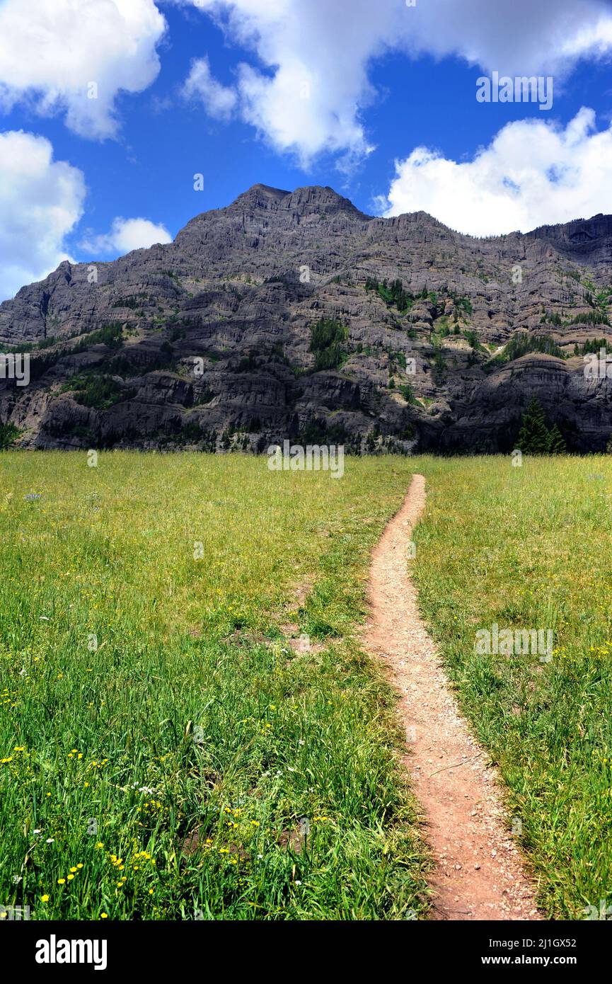 Hiking path, surrounded by grassy field, leads to Barronette Peak, in Yellowstone National Park. Stock Photo