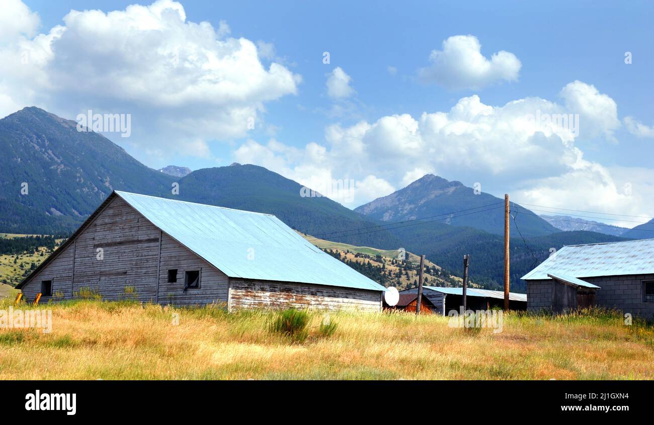 White, wooden barn is surrounded by tall grass and the high Absaroka Mountains in Happy Valley, Montana. Stock Photo