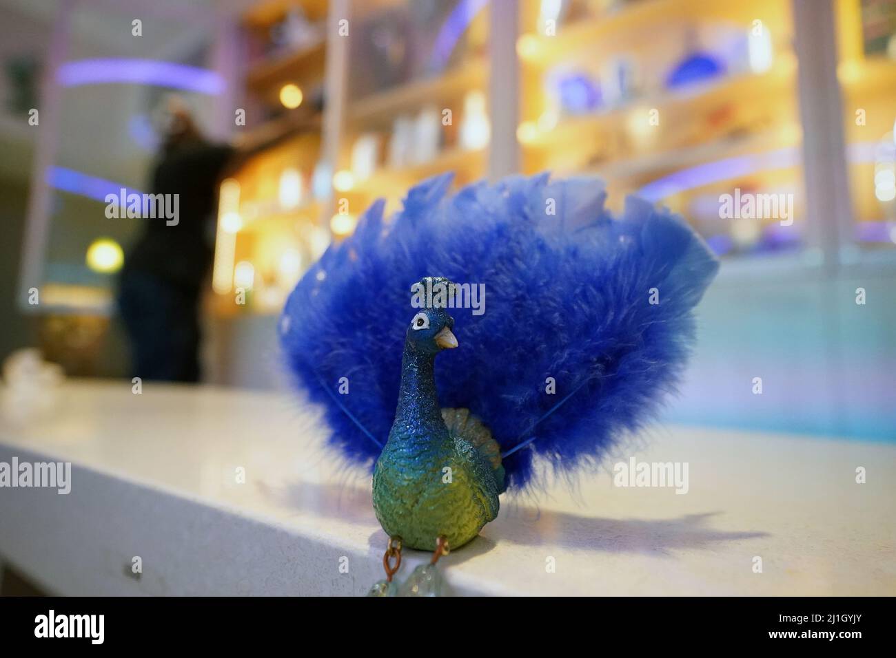University City, USA. 25th Mar, 2022. A peacock toy sits on the counter of the Peacock Diner