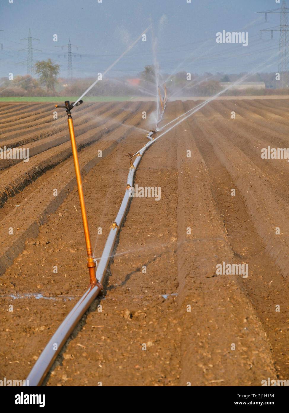 Watering field with irrigation system Stock Photo Alamy