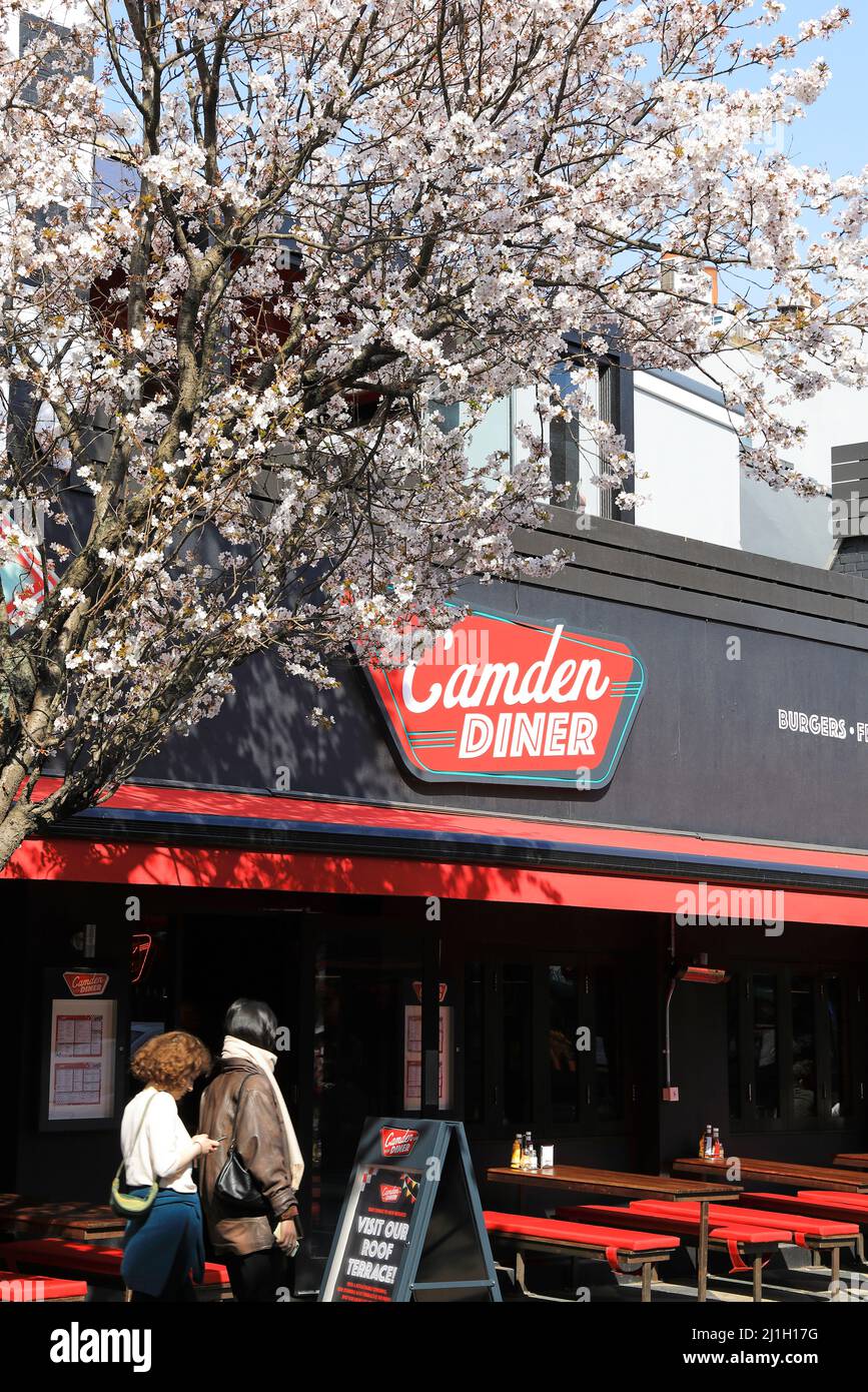 Spring blossom outside the Camden Diner on Jamestown Street in Camden Town, near the Market, in north London, UK Stock Photo