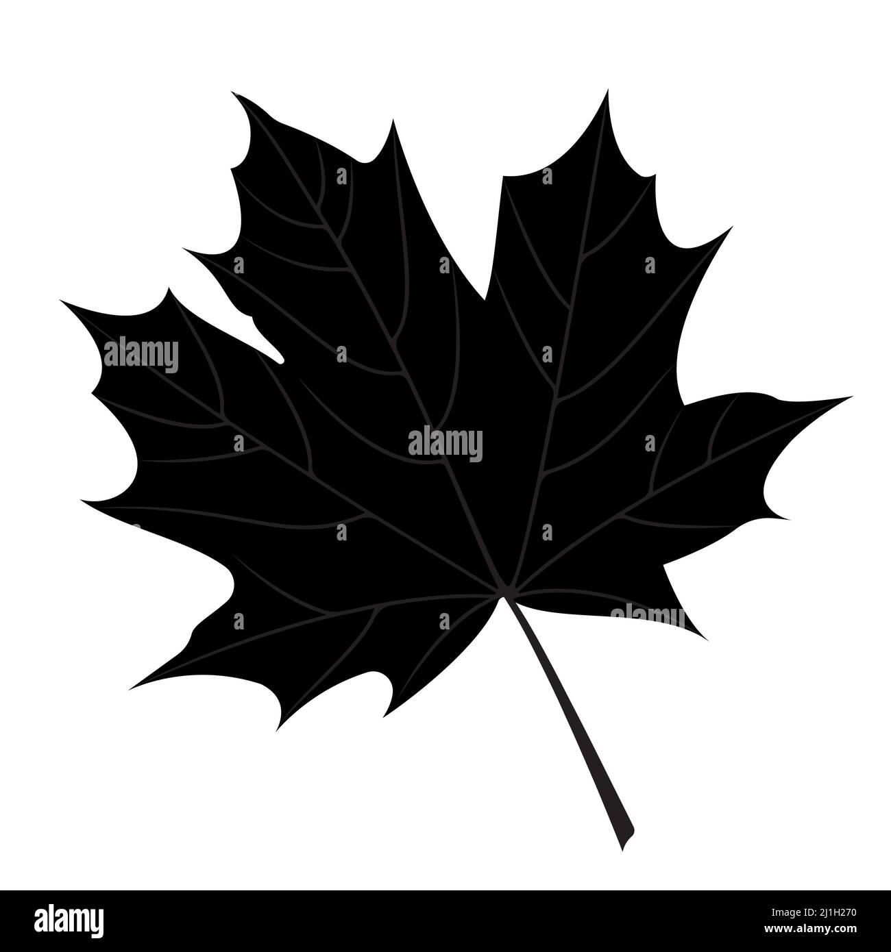 Maple leaf silhouette hi-res stock photography and images - Alamy