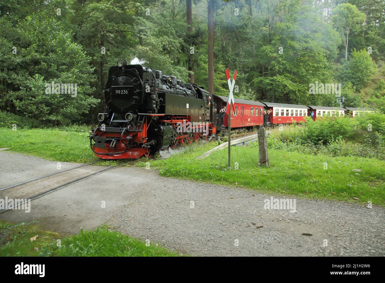 Harzer Schmalspurbahn at the unrestricted level crossing in Wernigerode, Saxony-Anhalt, Germany Stock Photo