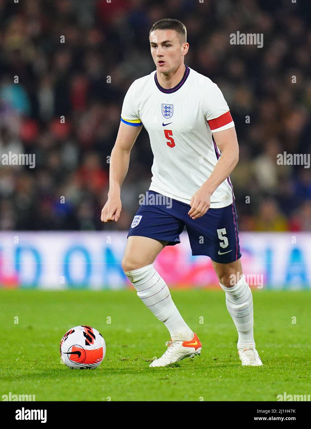 Taylor harwood bellis england hires stock photography and images Alamy