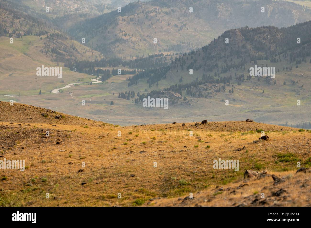 Looking Down Into Hayden Valley From The Specimen Ridge Trail on a