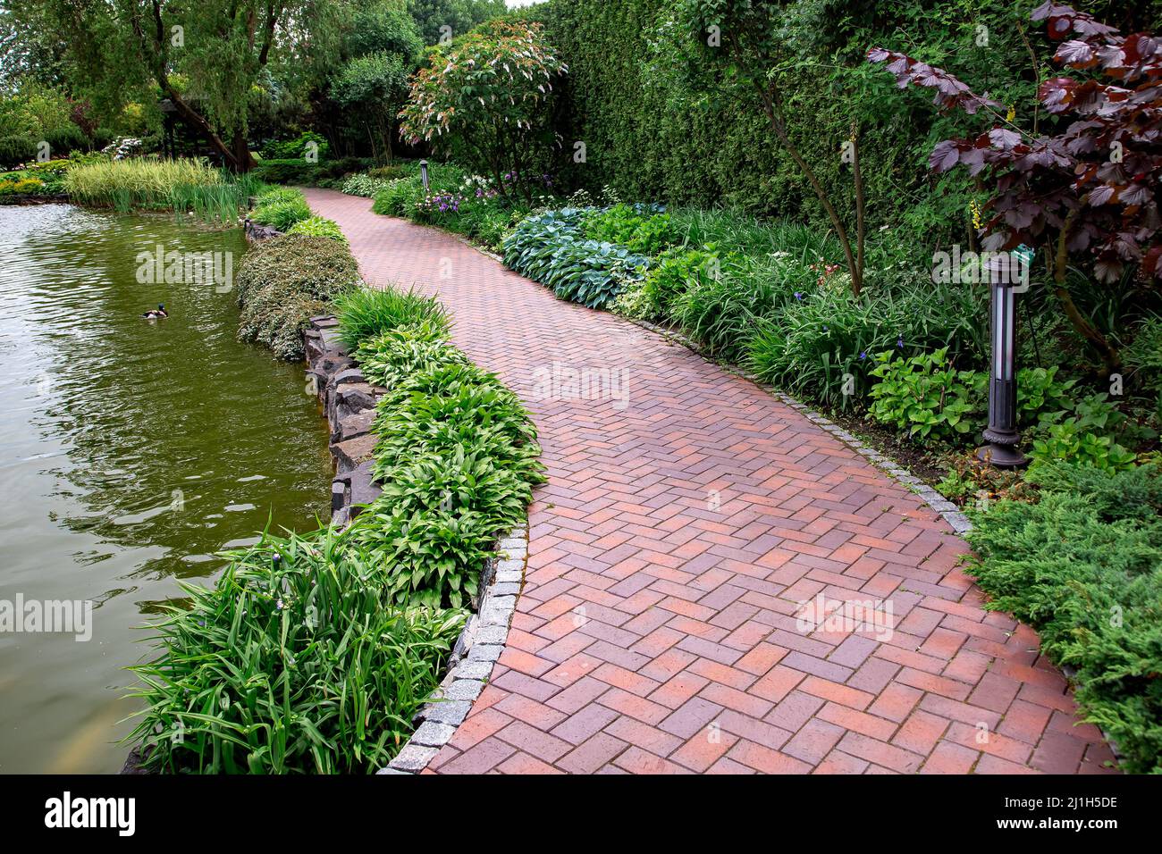 a walking sidewalk paved with brick stone tiles in a park with plants and a decorative pond filled with water, a garden with a flower bed and trees, a Stock Photo