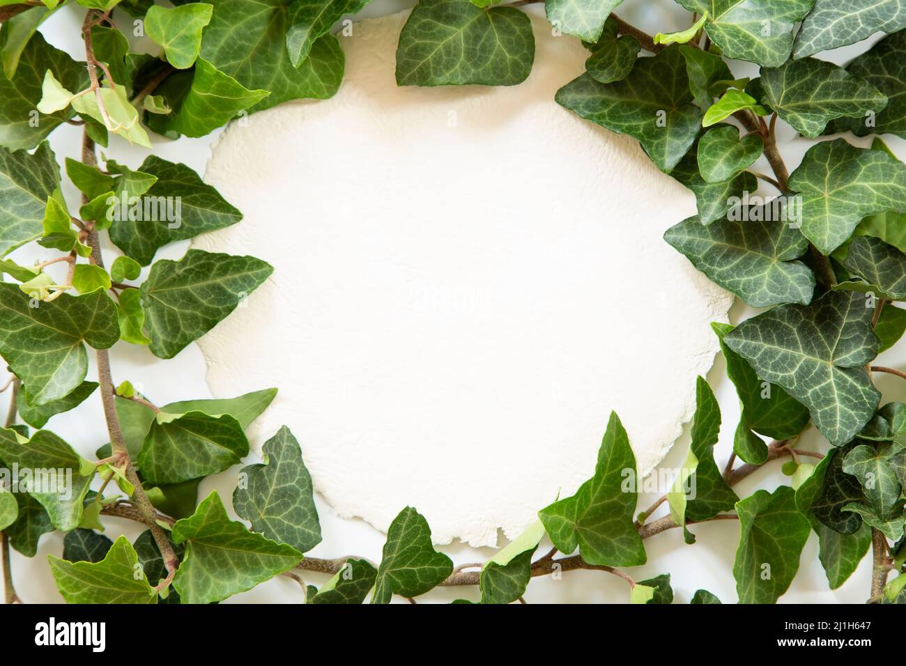 Craft paper blank note with the green leaves Stock Photo