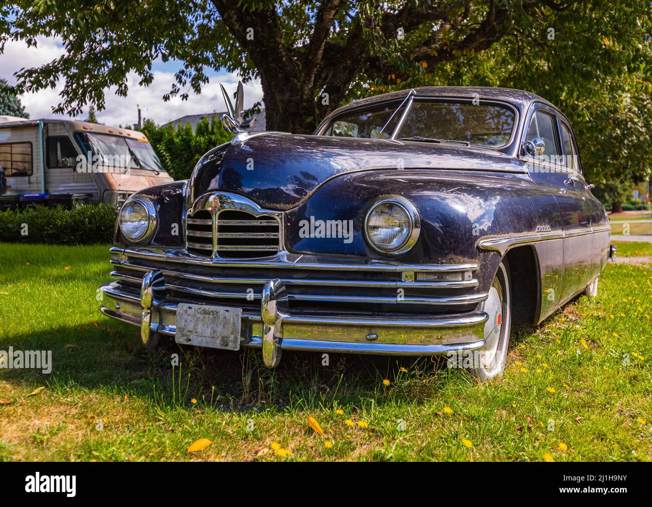 Vintage car Packard close up in a sunny day. Vintage black Packard car in a garden. Hope, BC, Canada-October 1,2021. Street view, travel photo, select Stock Photo