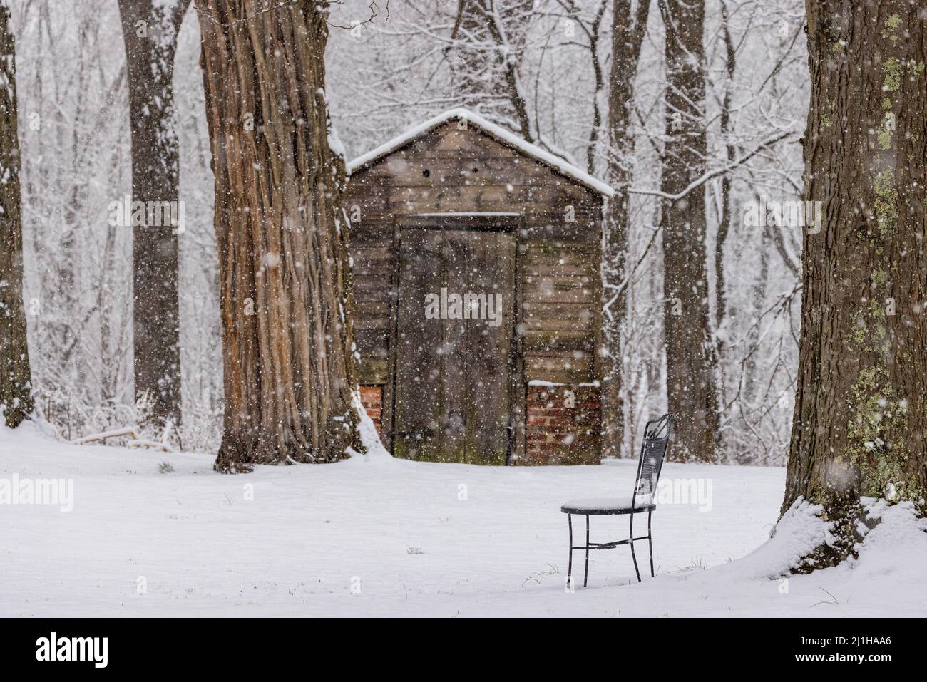 Empty chair in falling snow by shed in woods Stock Photo