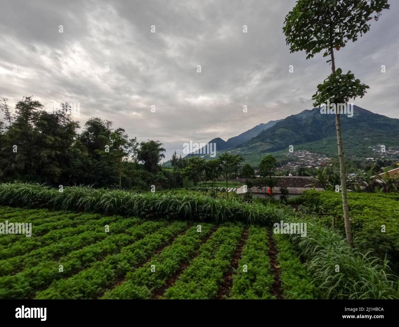 The appearance of Mount Merapi Boyolali, Central Java seen from the ...