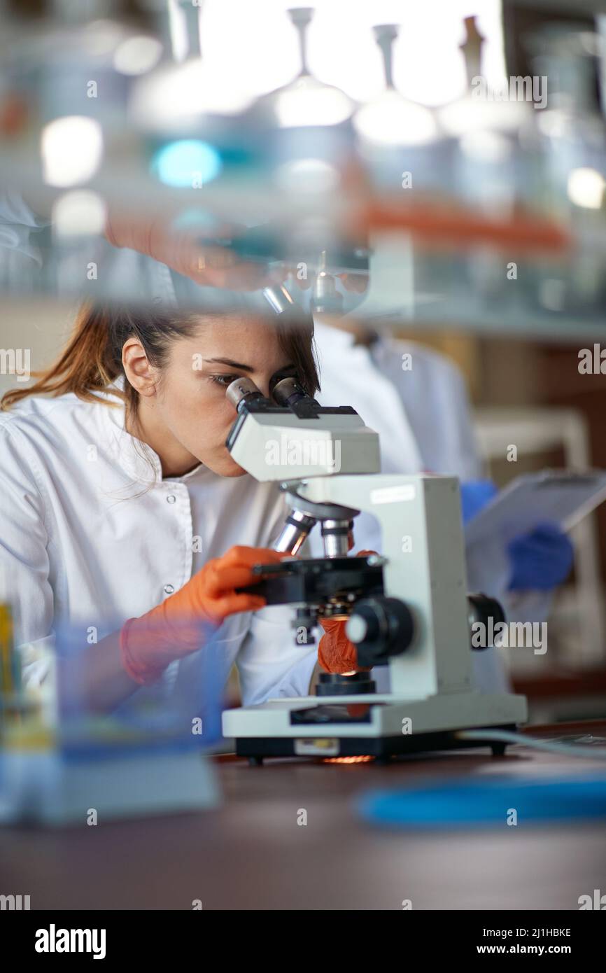A young female student working with a microscope in a sterile laboratory environment. Science, chemistry, lab, people Stock Photo