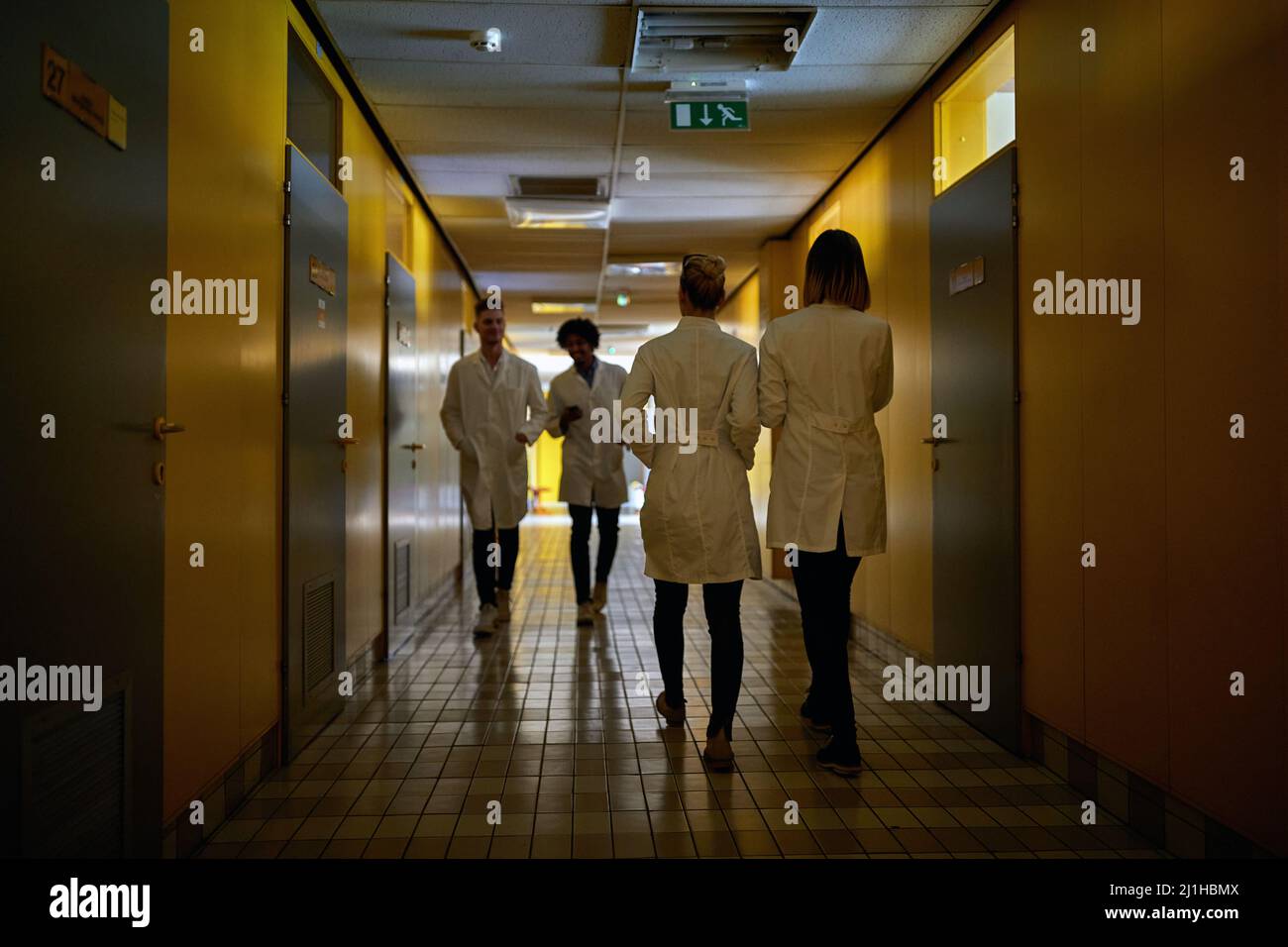 Young chemistry students walk down the dark and spooky hallway in the university building. Institution, hallway, university, people Stock Photo