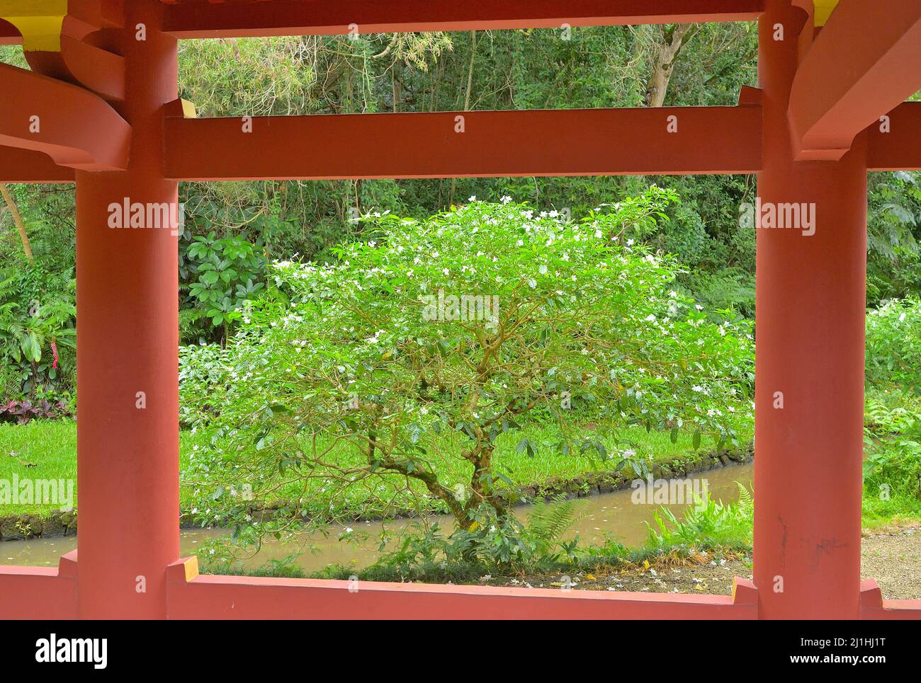 The scenic ByodoIn temple near renowned Honolulu, Oahu HI Stock Photo