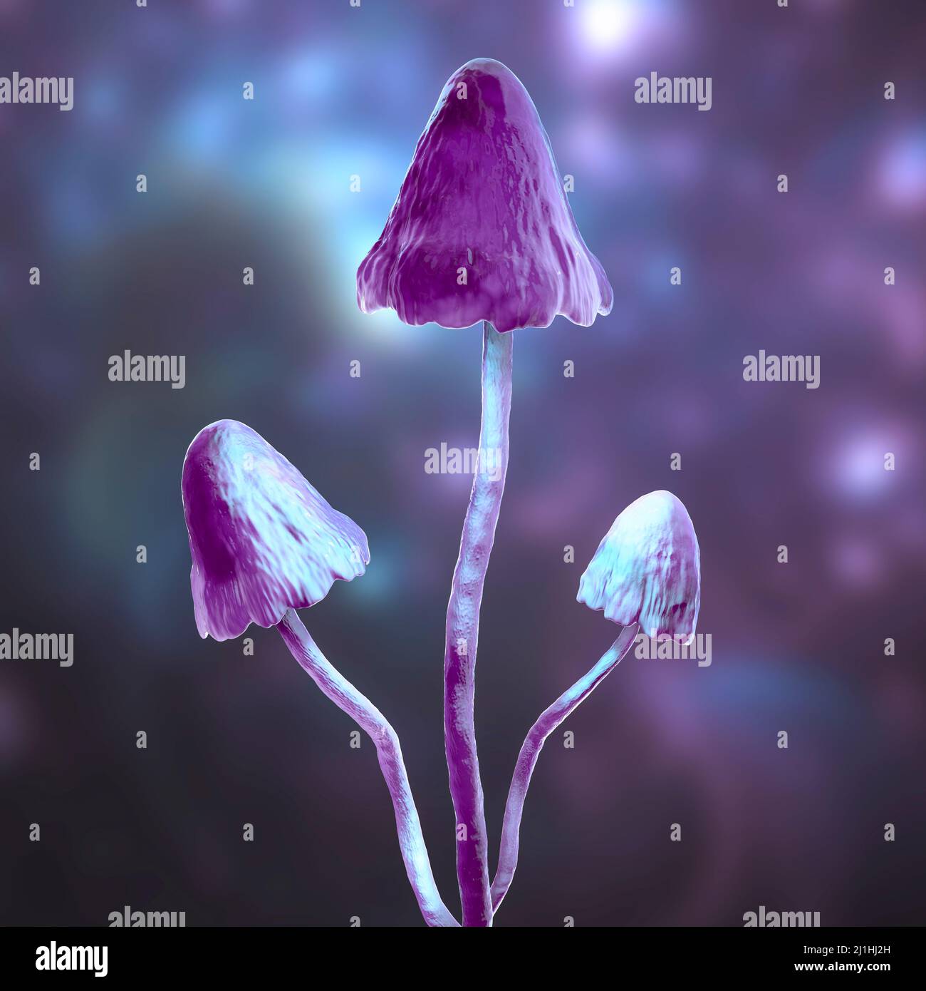 Magic mushrooms, illustration Stock Photo