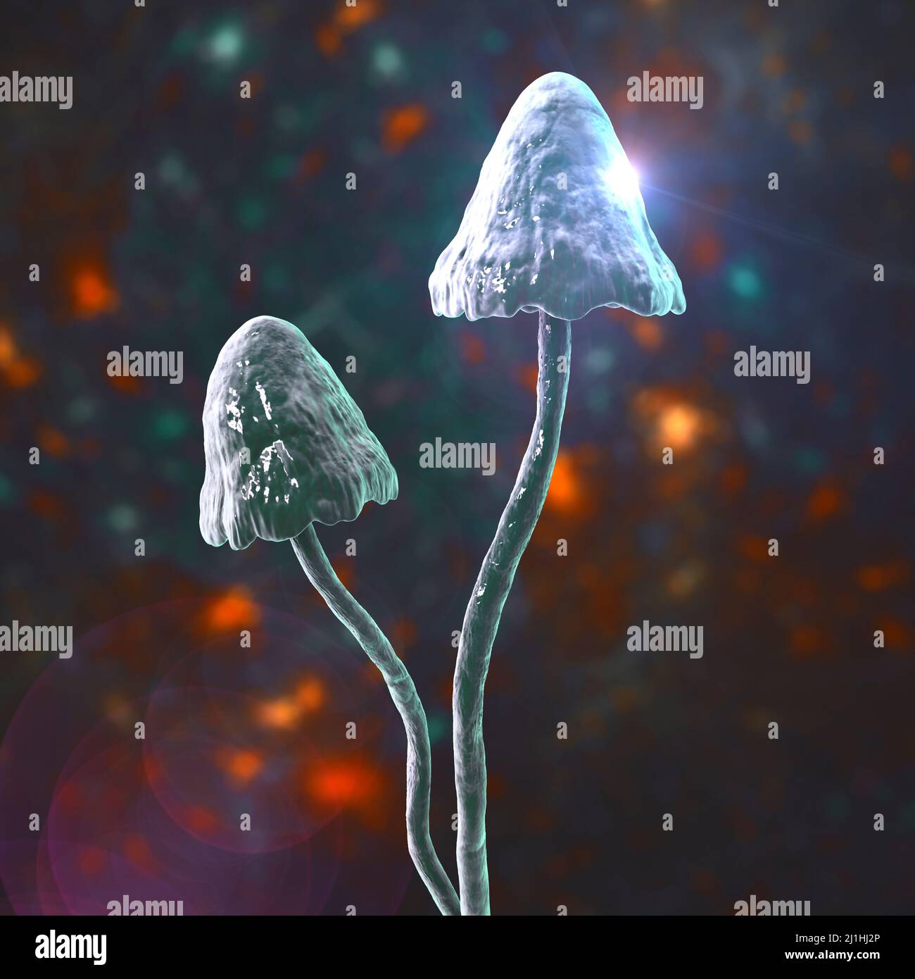 Magic mushrooms, illustration Stock Photo