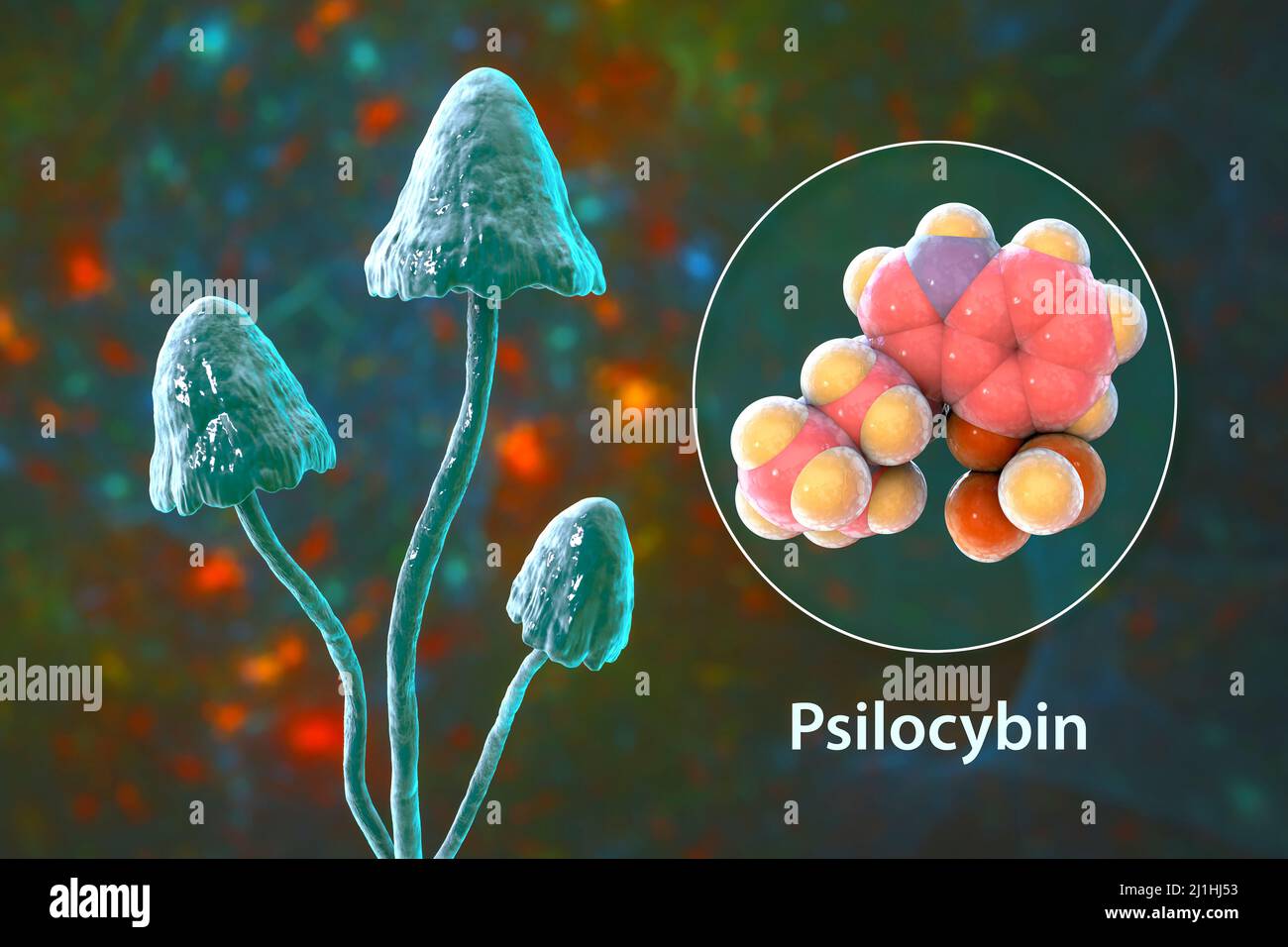 Magic mushrooms and psilocybin molecule, illustration Stock Photo