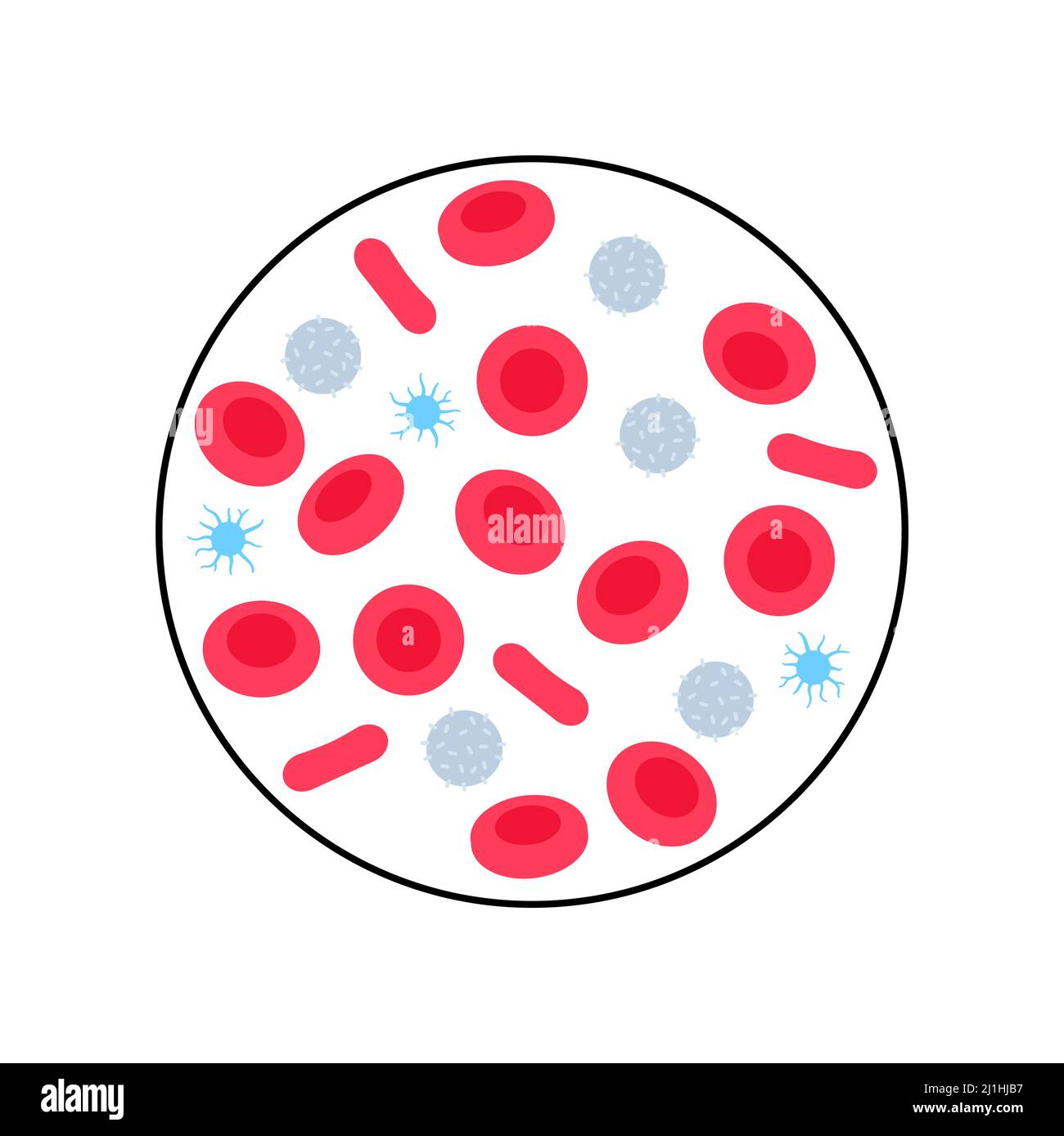 Blood cells, illustration Stock Photo Alamy