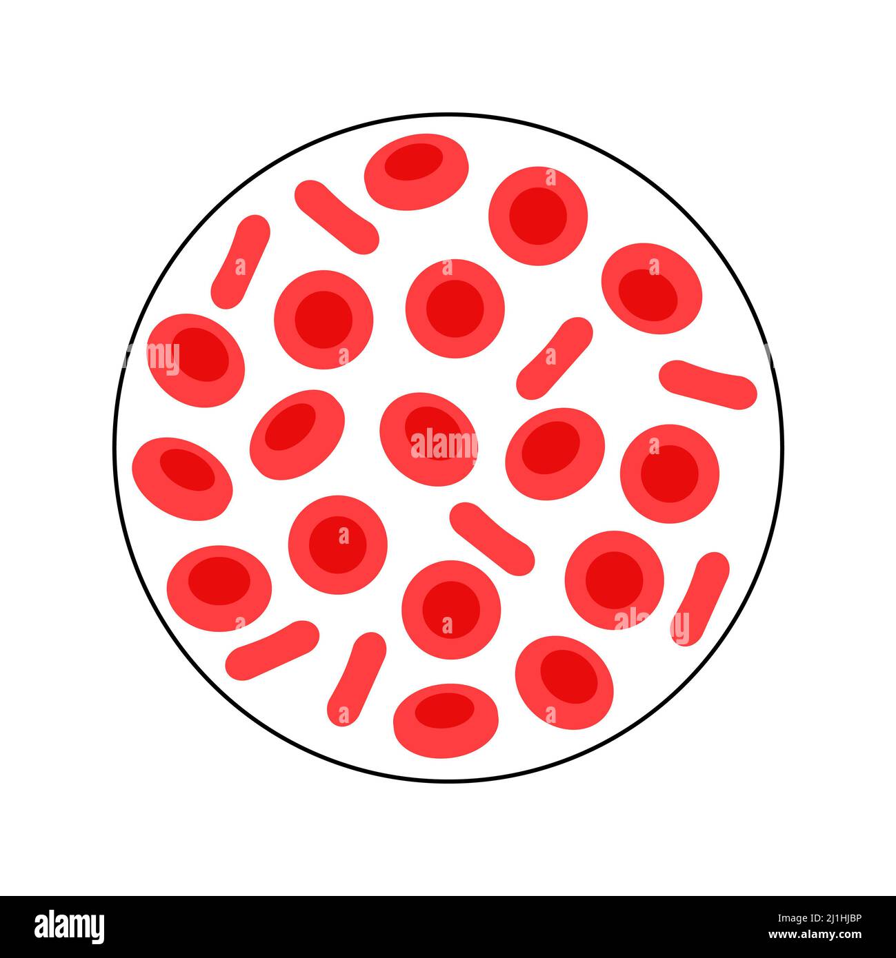 red-blood-cells-illustration-stock-photo-alamy