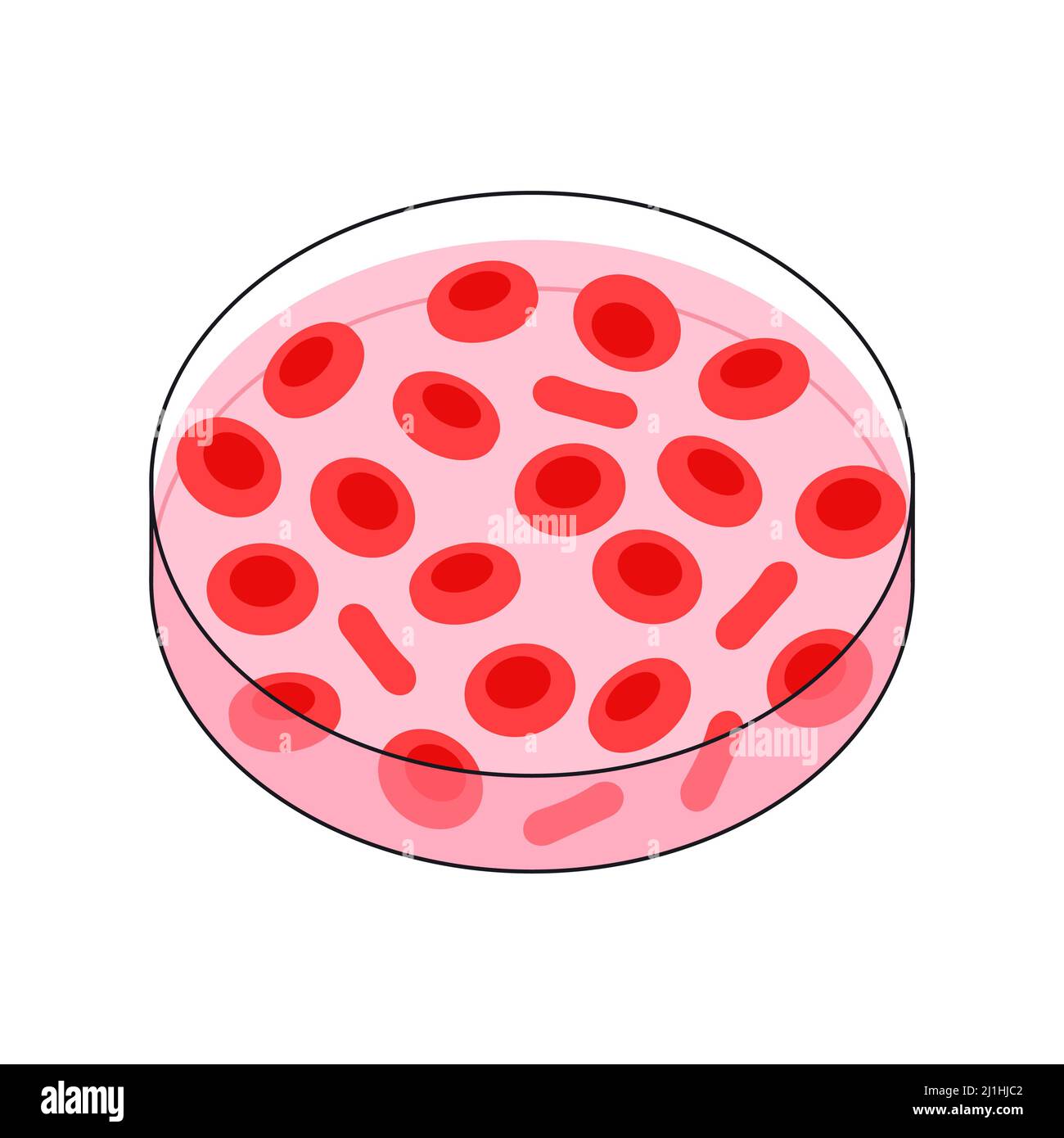 Red blood cells, illustration Stock Photo Alamy