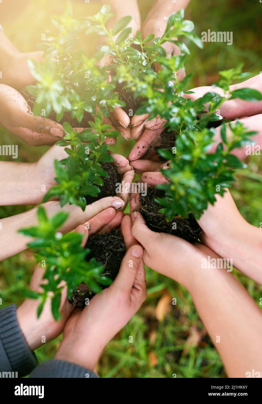Dont grow apart, grow together. Cropped shot of a group of people