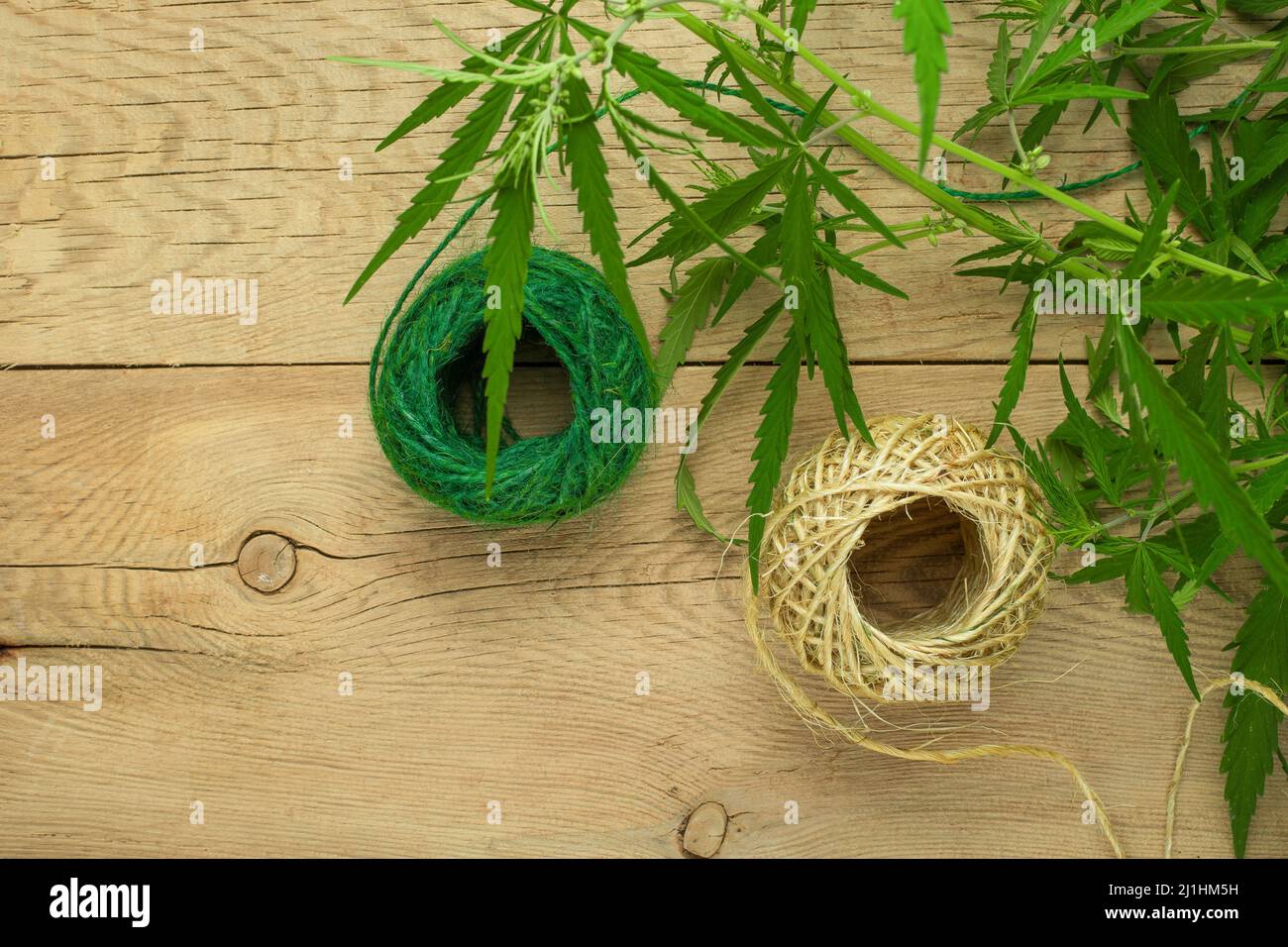 Hemp rope and hemp with empty space for inscription Stock Photo
