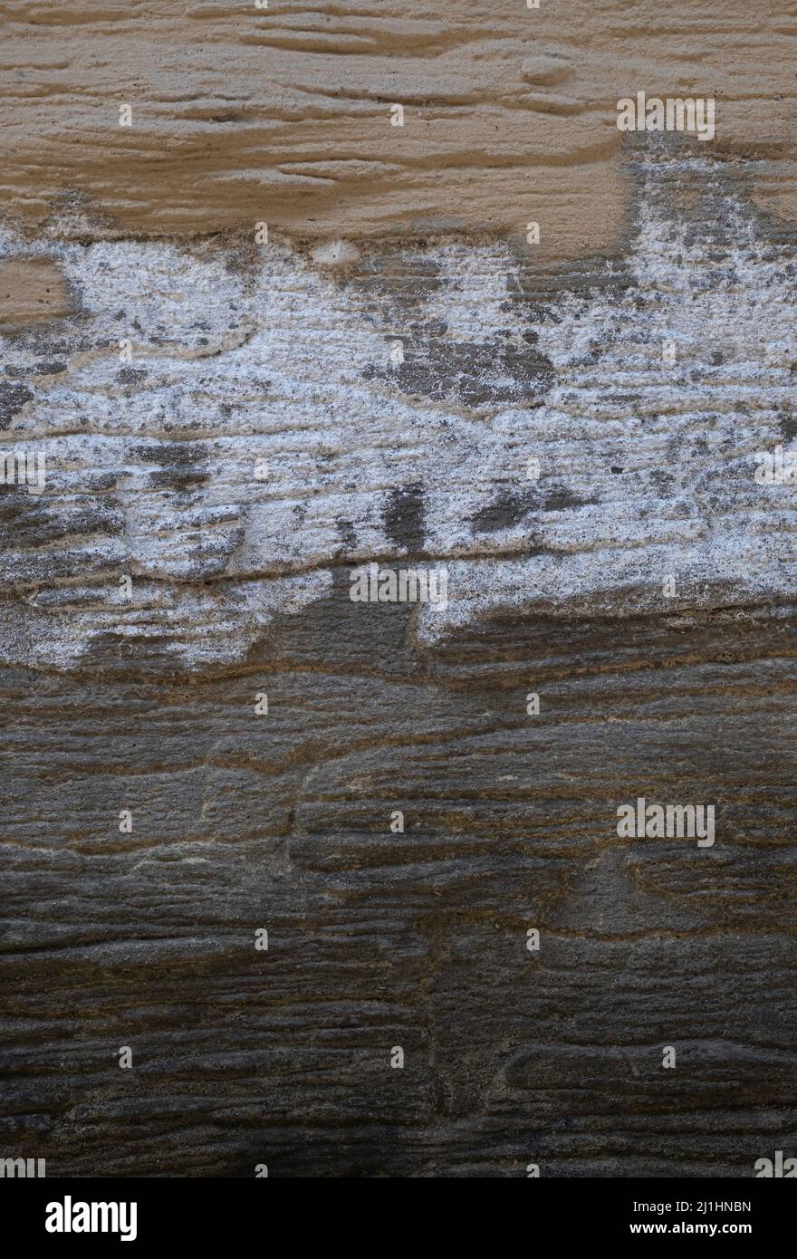 Abstract background from old and dirty concrete texture Stock Photo